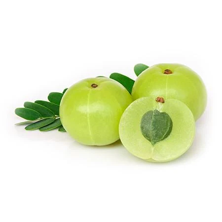 Amla Fruit (Phyllanthus emblica) used in Energyon